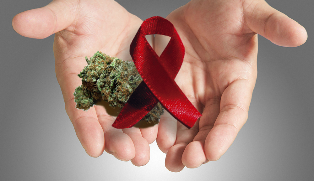 aids cannabis