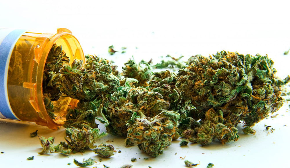 Cannabis, the best antibiotic on the planet